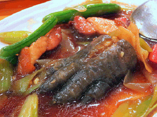 Chân cá sấu