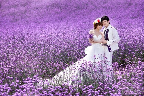 Chụp Ảnh cưới thung lũng Y Lê