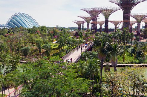Gardens by the Bay