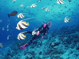 Lặn biển ở quần đảo Semporna, Sabah