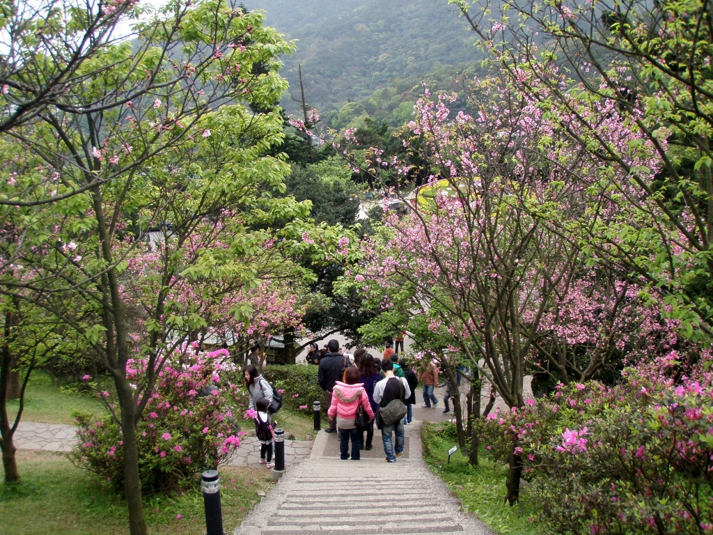 CÔNG VIÊN NGỌC SƠN (YUSHAN) CÔNG VIÊN NGỌC SƠN (YUSHAN)