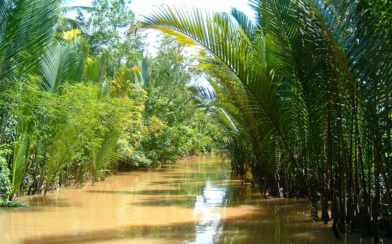 DU LICH MIEN TAY: VINH LONG XUOI MAI CHEO(1 NGAY)