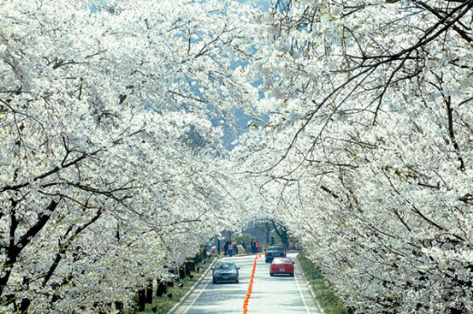 SEOUL