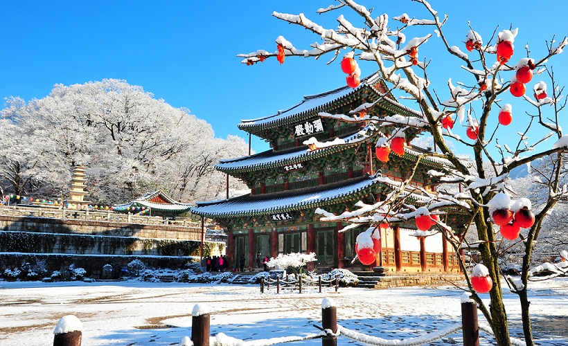 YANGJIPINE
