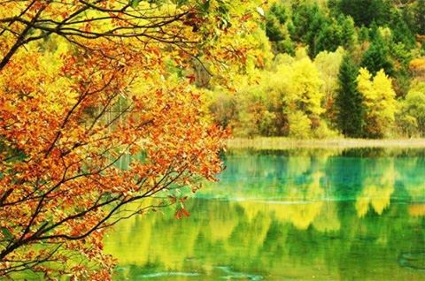 tour đi cửu trại câu năm 2017 tour đi cửu trại câu năm 2017