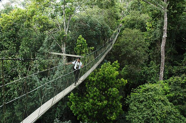 Taman Negara