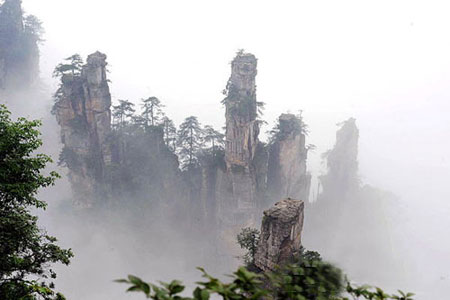 Trương Gia Giới