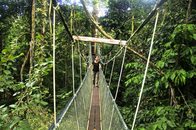 Vườn quốc gia Gunung Mulu