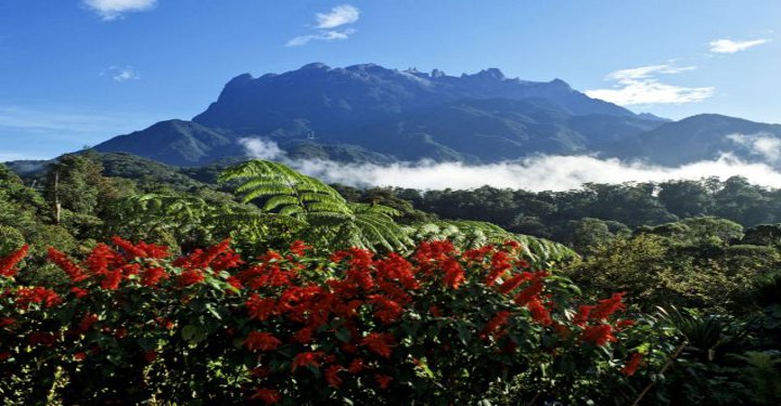 Vườn Quốc Gia Kinabalu