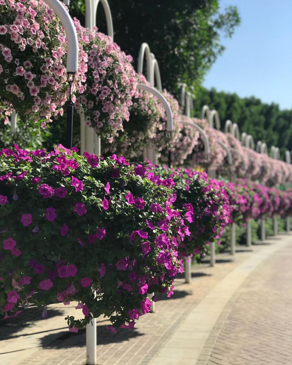 Có nên đi du lịch Dubai hay không? Có nên đi du lịch Dubai hay không?