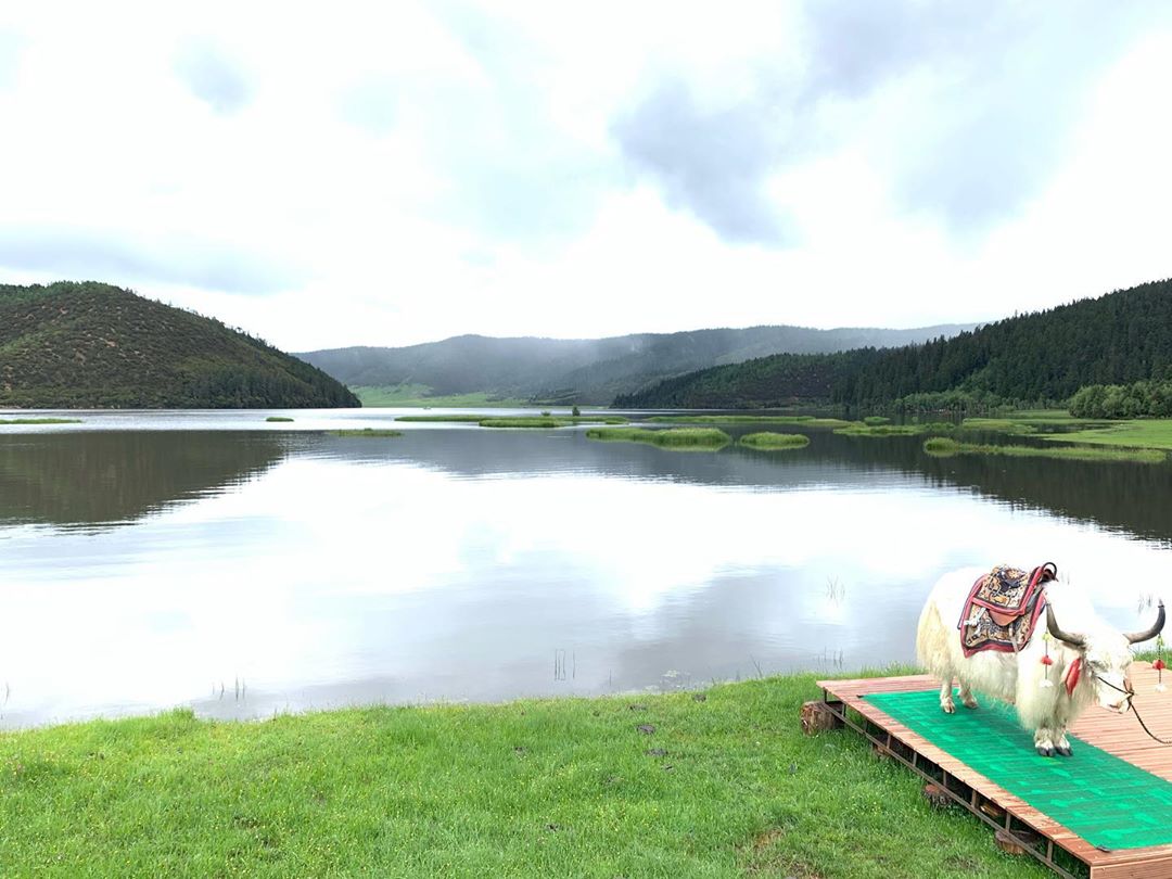 Đi Shangrila mùa nào đẹp nhất? Tham quan địa danh nào? Đi Shangrila mùa nào đẹp nhất? Tham quan địa danh nào?