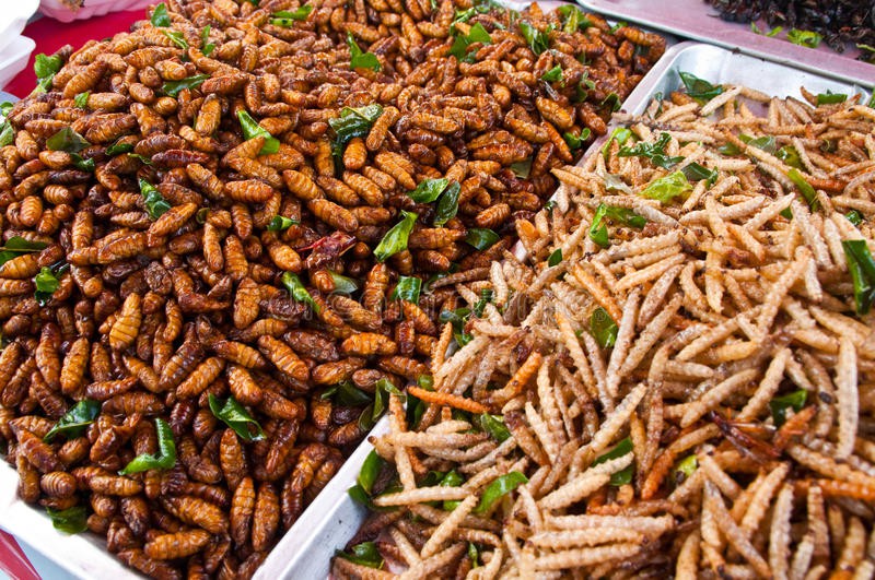 Khám phá đặc sản ẩm thực đất nước Lào Khám phá đặc sản ẩm thực đất nước Lào