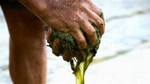 Sốc với món lẩu “nặng mùi phân bò” khi đi du lịch Quý Châu Trung Quốc