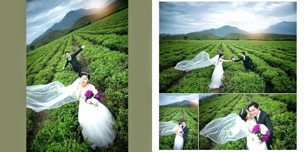 Ảnh cưới chụp tại Đồi chè- Đồng Giang