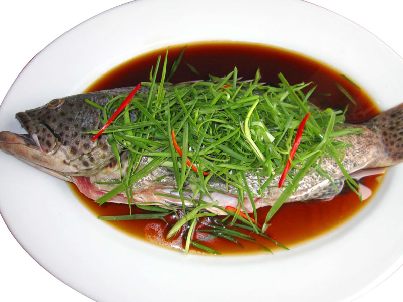 ca-chinh-hap-xi-dau ca-chinh-hap-xi-dau