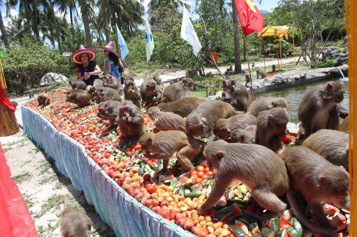 dao-khi dao-khi
