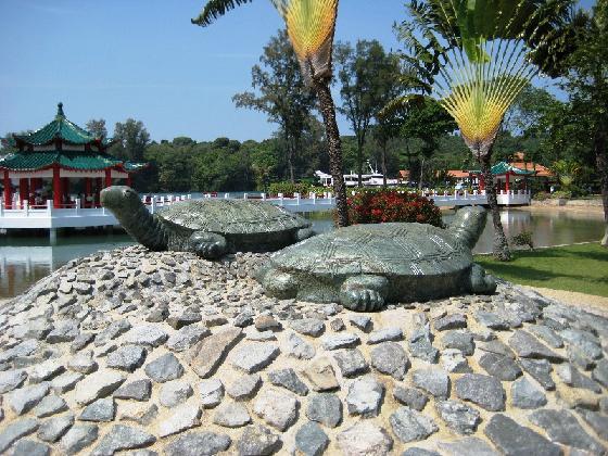 dao-kusu-singapore dao-kusu-singapore