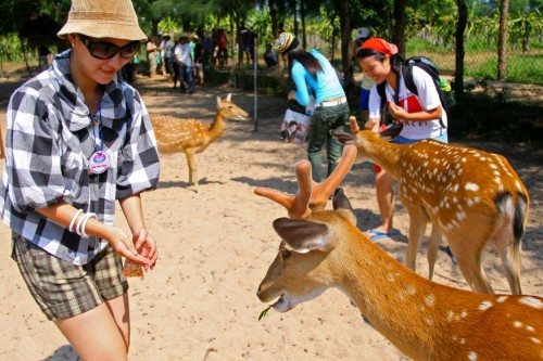 Động vật tại Nha Phu