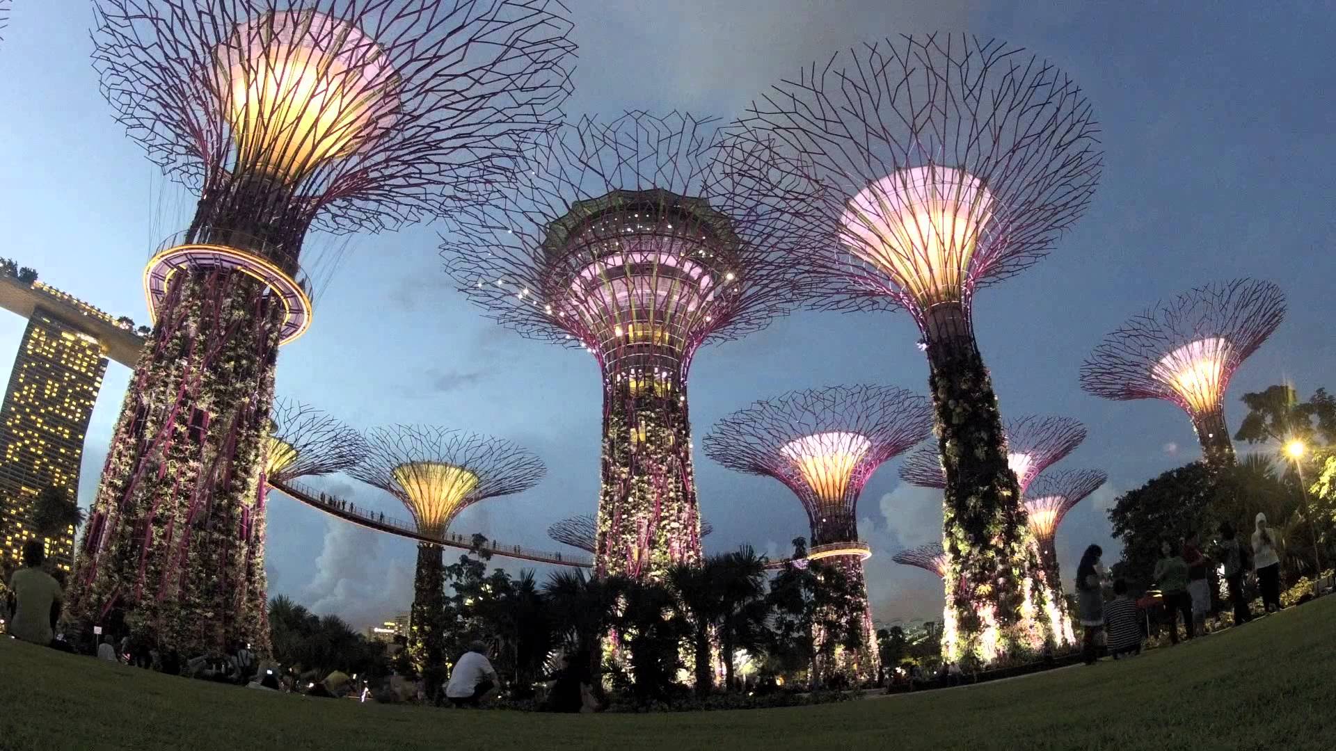 Du lịch Singapore và trải nghiêm thú vị với xe trượt ở Skyline Luge