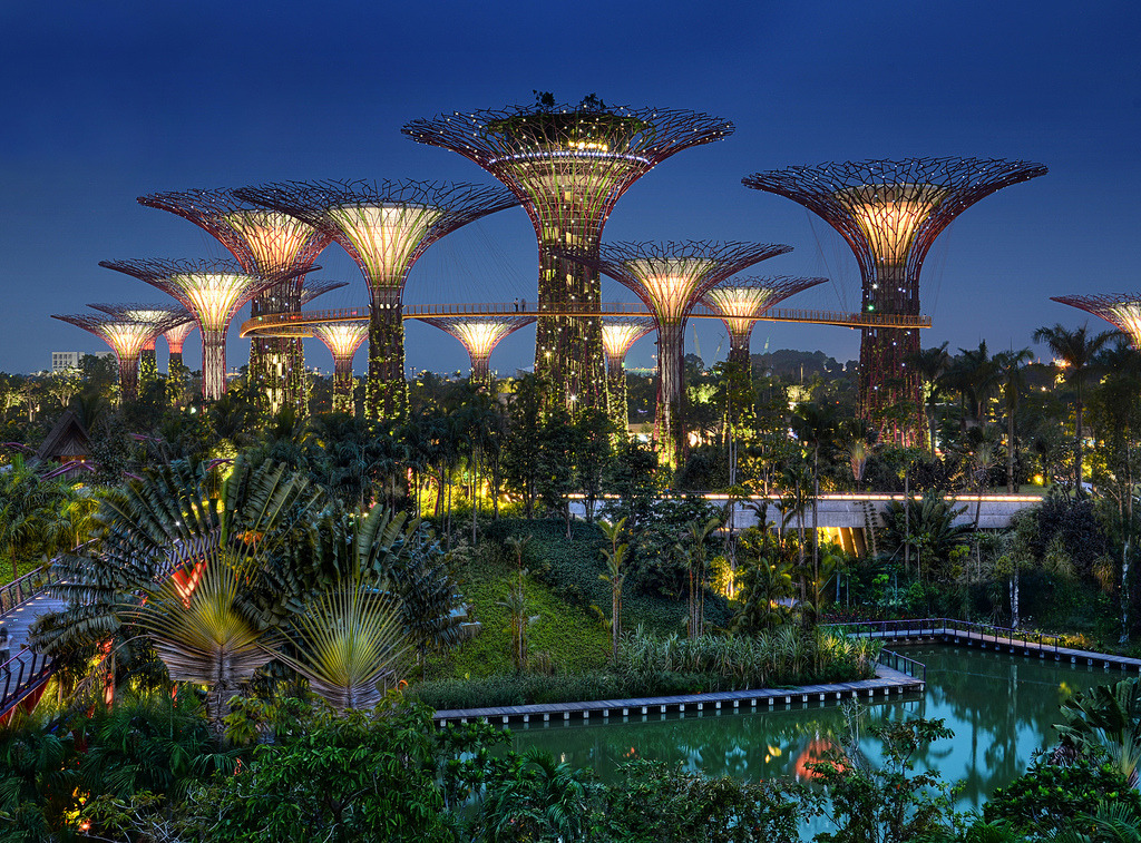 Du lịch Singapore khám phá khu Vườn độc đáo Gardens By the Bay