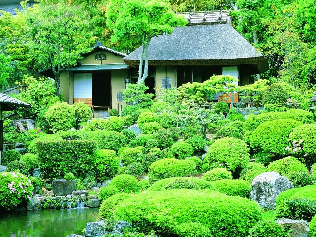 Du lịch Nhật bản lạ với trào lưu ngắm rêu thư giãn