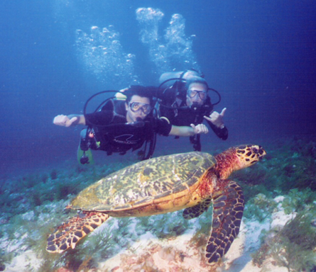 du lịch Nha Trang giá rẻ du lịch Nha Trang giá rẻ