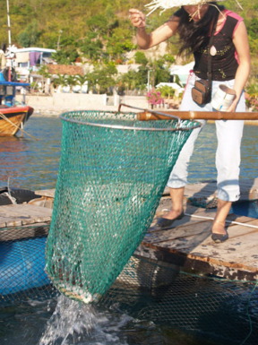 du lịch Nha Trang giá rẻ du lịch Nha Trang giá rẻ
