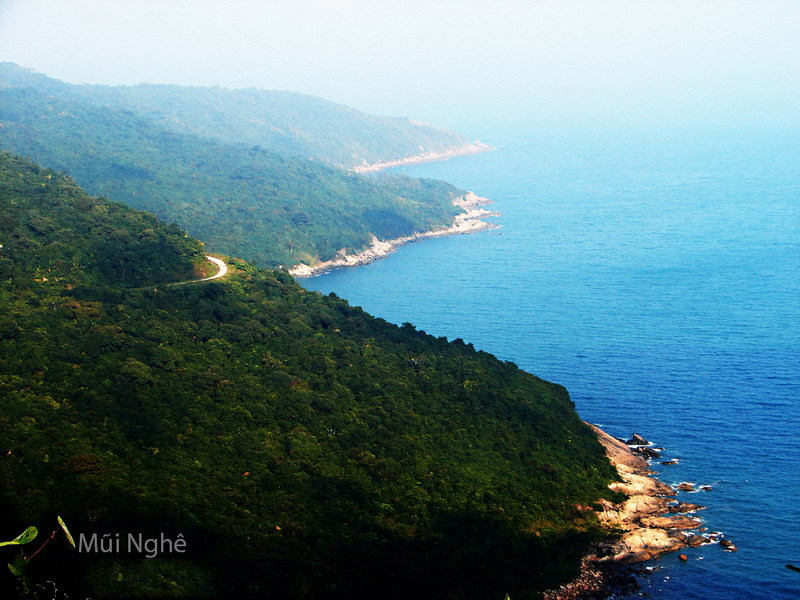 mui-nghe-son-tra mui-nghe-son-tra