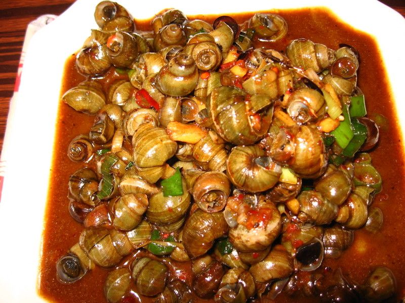 Ốc hút