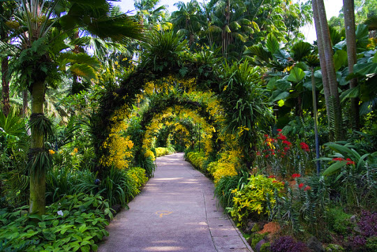 Singapore_Botanic_Gardens-du-lich-singapore Singapore_Botanic_Gardens-du-lich-singapore