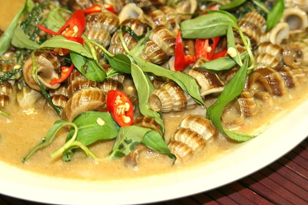 oc-giam-du-lich-nha-trang oc-giam-du-lich-nha-trang