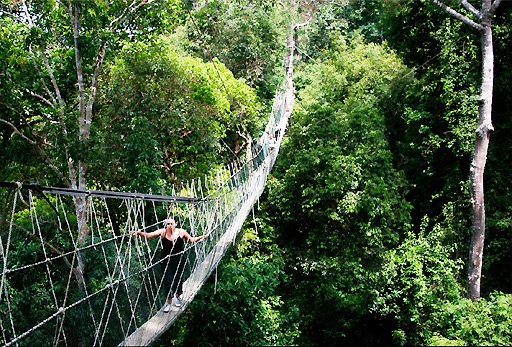 Suspension-Bridge-Taman-Negara-National-Park-Bridge-du-lich-malaysia Suspension-Bridge-Taman-Negara-National-Park-Bridge-du-lich-malaysiajpg