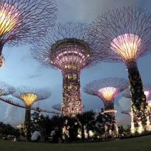 Du lịch Singapore và trải nghiêm thú vị với xe trượt ở Skyline Luge