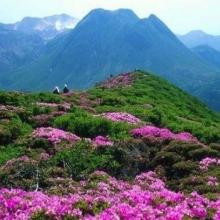 Du lịch Trung Quốc - Ăn uống gì ở Nam Ninh?