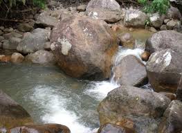 Suối Lách kỳ thú, điểm nổi bật của chuyến du lịch nha trang giá rẻ Con suối mang tên, Suối Lách hoặc tên gọi khác thú vị hơn là Suối Lách kỳ thú. Rời TP Nha Trang đi về hướng Tây gần 50 km, vị khách đến với huyện miền núi Khánh Vĩnh và khu dã ngoại Yang Ly. Khác với những địa điểm du lịch khác, thì khu du lịch sinh thái trong du lịch nha trang giá rẻ tại thác Yang Ly còn giữ được nguyên vẹn nét hoang sơ của suối Yang Ly (còn gọi với cái tên là suối Lách) và rừng đại ngàn um tùm. Suối mẹ của suối Lách được bắt nguồn từ trên đỉnh núi, chảy theo những triền đá, do đó, tạo nên thác Yang Ly hùng vĩ cao 60 m. Suối Lách kỳ thú, điểm nổi bật của chuyến du lịch nha trang giá rẻ - Suối Lách kỳ thú có thể tách ra thành 7 nhánh nhỏ, rồi len lỏi chảy qua những khe đá và những tán rừng nguyên sinh xanh ngắt, tạo nên một bức tranh về phong cảnh đẹp kỳ lạ. Hai bên bờ um tùm cây dại trong du lịch nha trang giá rẻ: Cau rừng, tre, trúc, nứa, vầu, lồ ô, nhãn rừng, mác, cọ… Dưới suối, nước trong vắt, soi rõ những viên sỏi đủ màu lấp lánh. Những cái hồ nhỏ, nước xâm xấp ngực, là nơi dành cho du khách đi du lịch nha trang giá rẻ vùng vẫy, bơi lội thỏa thích. Nơi đây vì không khí trong lành, thiên nhiên còn giữ được nét hoang sơ và thanh tịnh rất phù hợp để mọi người nghỉ ngơi, giảm stress, thư giãn.