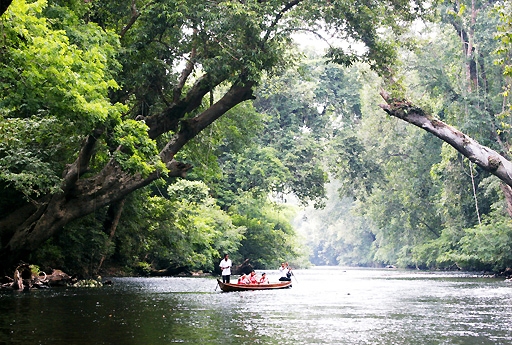 Taman Negara - vườn quốc gia của Malaysia