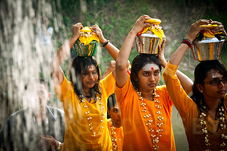 thaipusam-festival thaipusam-festival