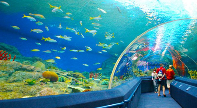 du lịch Singapore giá rẻ du lịch Singapore giá rẻ