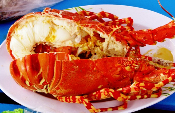 tour Nha trang giá rẻ tour Nha trang giá rẻ