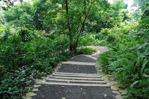 Tour du lịch Singapore giá rẻ Southern Ridges